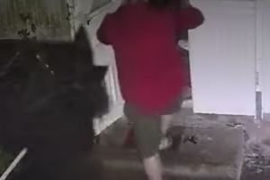 VIDEO Botoşăneanul bătut în casă de trei indivizi, care i-au vandalizat casa: Nu îi cunosc personal. Am auzit că unul e actualul iubit al fostei soţii
