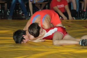 Luptătorii de la Cetate Deva s-au evidenţiat la Cupa Phoenix