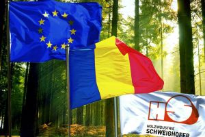 Holzindustrie Schweighofer prezintă, în vederea consultării publice, actualizarea planului de acţiune pentru o industrie sustenabilă a lemnului