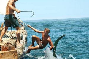 „fillME in Reghin”, la o nouă serie de proiecţii