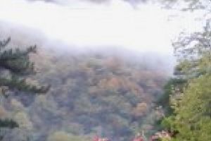 Garda de Mediu Dolj: Informare privind verificarea starii de salubrizare a localitatilor, cursurilor de apa si cailor de comunicatii din judetul Dolj