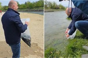 VIDEO. Gest de urmat pentru echilibrul Someşului, chiar lângă Cluj-Napoca: viceprimarul Dan Tarcea participă la repopularea râului cu păstrăv