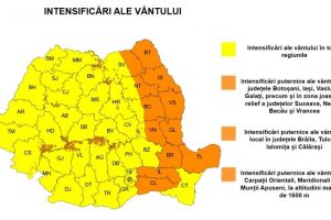 S-au emis coduri galben şi portocaliu de vânt! Gorjul, vizat