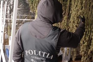 LABORATOR DE DROGURI, DESCOPERIT ÎN VÂLCEA! Reţea cu ramificaţii internaţionale, 11 persoane săltate de DIICOT după percheziţii în forţă