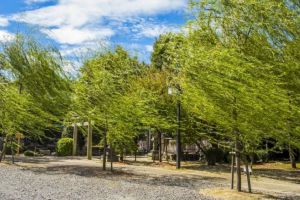 Meteorologii au avut dreptate. Vânt puternic la Cluj în această dimineaţă! Cât va dura acest fenomen