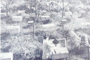 Răsfoind presa de altădată (48): Beton la Codăieşti, fotbal la Bârlad