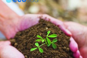 ECO SUD SA se orientează spre economia circular