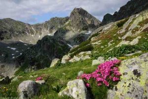 Ziua europeană a parcurilor naţionale