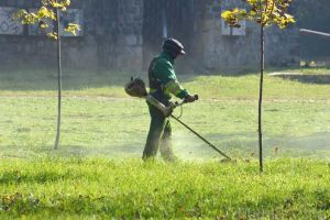 Verde la sac! RER Vest le oferă orădenilor o soluţie la îndemână pentru a scăpa de iarba tăiată