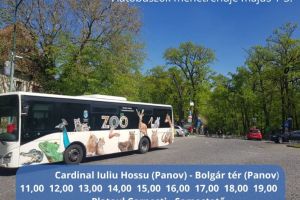 Linii speciale de autobuze, către Platoul Corneşti din Târgu Mureş