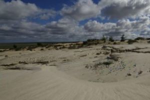 SECRETUL NIMICITOR din DEȘERT care ameninţă Europa. Forţa devastatoare vizează inclusiv Statele Unite ale Americii. Alertă mondială