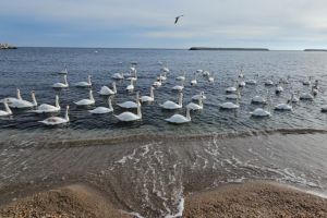 Vreme in incalzire in Dobrogea in urmatoarele doua saptamani! Maximele vor urma pana la 23 de grade