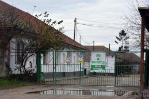 Primăria a ajuns la înţelegere cu Nutripork: Ferma de porci se va muta din Ioşia până în 2020!