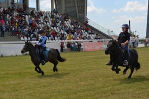 Poneii vor deschide „Premiul Constantin şi Elena”