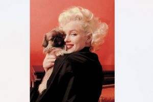 Universul privat al lui Marilyn Monroe, dezvaluit. Obiecte personale si scrisori inedite, scoase la licitatie