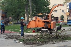 Defrisari in Parcul Padurice: locul de joaca a fost chelit de copaci