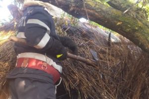 Judetul Tulcea. Incendiu intr-o gospodarie din localitatea Jurilovca (galerie foto)