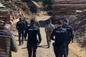 VIDEO. Hoţii de lemn îşi fac de cap în Cluj. Descindere a poliţiştilor la un depozit unde au fost găsite nereguli grave. Prejudiciu de peste 100.000 de lei