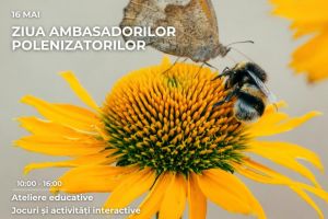Ziua Ambasadorilor Polenizatorilor, în premieră, astăzi,16 mai, la Zoo Braşov