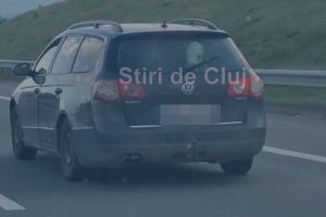 VIDEO. Mare e grădina ta! Doi viţei „de companie”, plimbaţi cu maşina pe A10 între Turda şi Aiud: „Oare cum mirosea dacă au avut micuţii o «urgenţă»?”