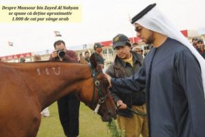 Un şeic din Emirate promite premii pe Hipodrom!