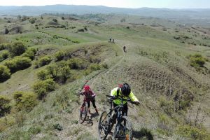 23 de proiecte au obţinut finanţare de la Consiliul Judeţean Harghita. Prioritate au avut cele axate pe programe ecvestre, de ciclism şi turism religios