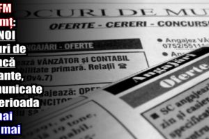 AJOFM Neamţ: 121 NOI locuri de muncă vacante, comunicate în săptămâna 21-25 mai