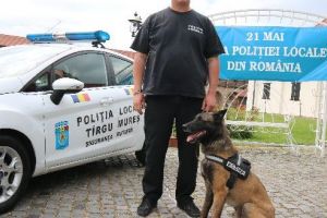 Tyson, singurul câine „poliţist local” din Târgu-Mureş