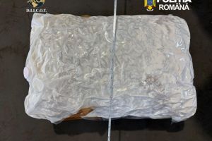 FOTO. Trei persoane retinute dupa ce au trimis zeci de kilograme de canabis in Romania prin firme de transport