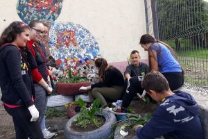 Şcoala Gimnazială Dumitra a intrat în cursa pentru 15.000 de euro şi un viitor verde (FOTO)