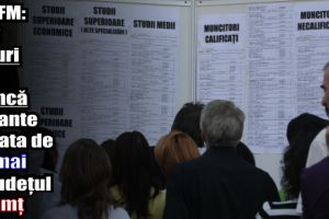AJOFM: 802 locuri de muncă vacante la data de 26 mai 2018 în judeţul Neamţ