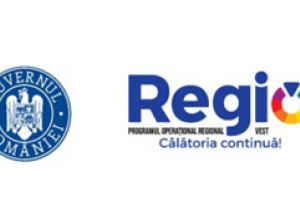 Diversificarea activitatii de productie prin achizitia de utilaje performante