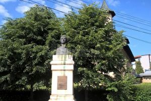 Eminescu, în paragină şi, mai nou, acoperit de crengile unui copac