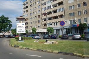 Simbolul Beiuşului: Oraşul s-a transformat în paradisul câinilor vagabonzi (FOTO)