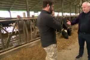 Cum s-a prăbuşit un imperiu românesc de sute de mil de €