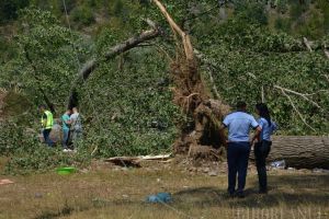 Avertizare meteo IMEDIATĂ: Cod portocaliu de furtuni pentru Bratca şi Bulz