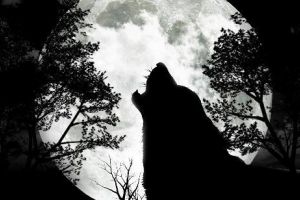 VÂRCOLAC sau CHUPACABRA? Un ANIMAL BIZAR i-a SPERIAT pe CERCETĂTORI. „Nu Avem nicio idee ce este” - FOTO