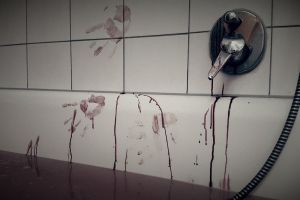 Tânără româncă, OMORÂTĂ cu 50 de LOVITURI DE CUŢIT, în capitala Belgiei! Avea 21 de ani şi fusese premiată la un concurs literar