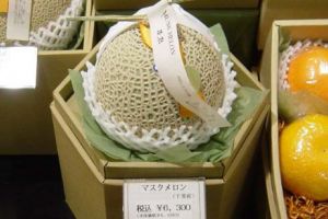 Preţ record pentru pepeni. Japonezii au plătit 40.000 de dolari pentru doi pepeni galbeni