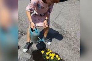 România a fost „PLAGIATĂ”:  Plantarea de flori în GROPILE de pe carosabil  a dat „ROADE”