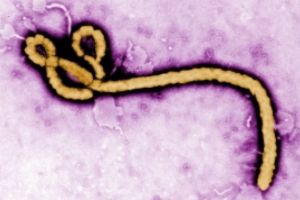 Medicii sunt în alertă! Avertismentul sumbru al cercetătorilor - O epidemie globală este mai aproape decât ne-am imagina