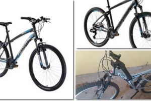 Trei biciclete furate dintr-un foc, de langa Timisoara: Poate ne ajutati sa le dam de urma