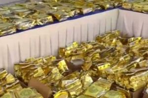 Captură record de droguri în Malaezia. Unde erau ascunse stupefiantele