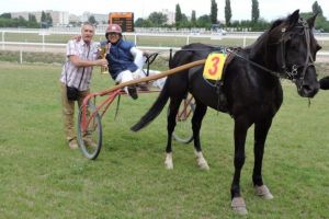 Slate si Ramon tin la blazon!