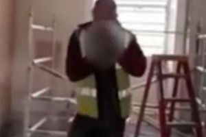ȘOCANT! A SMULS gâtul unui porumbel cu DINȚII. Reacţia colegilor de muncă este IREALĂ - VIDEO TERIFIANT