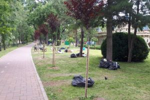 Saci plini cu gunoaie, lasati in Parcul Copiilor, dupa un eveniment