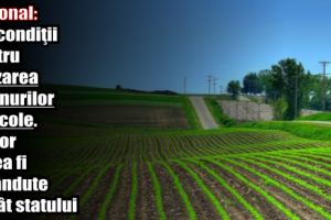 Naţional: Noi condiţii pentru vânzarea terenurilor agricole. Nu vor putea fi revândute decât statului