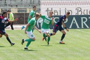 Foresta a ajuns carne de tun în eşalonul al doilea