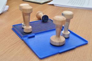 Un ONG contestă rezultatele referendumului din Sebeş: Numărul votanţilor din municipiu este mai mic