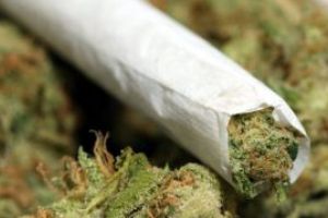 Ingrijorator: Droguri gasite la mai multi tineri in Baia Mare si Baia Sprie